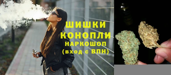 МДПВ Навашино