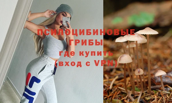 2c-b Гусь-Хрустальный