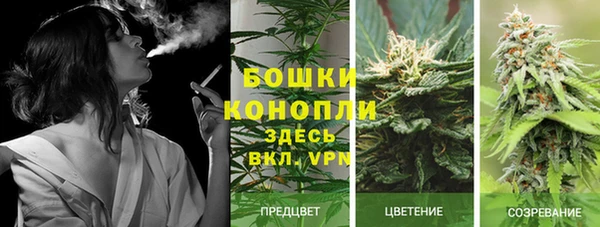 PSILOCYBIN Надым