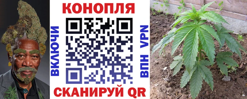 Бошки Шишки ГИДРОПОН Короча